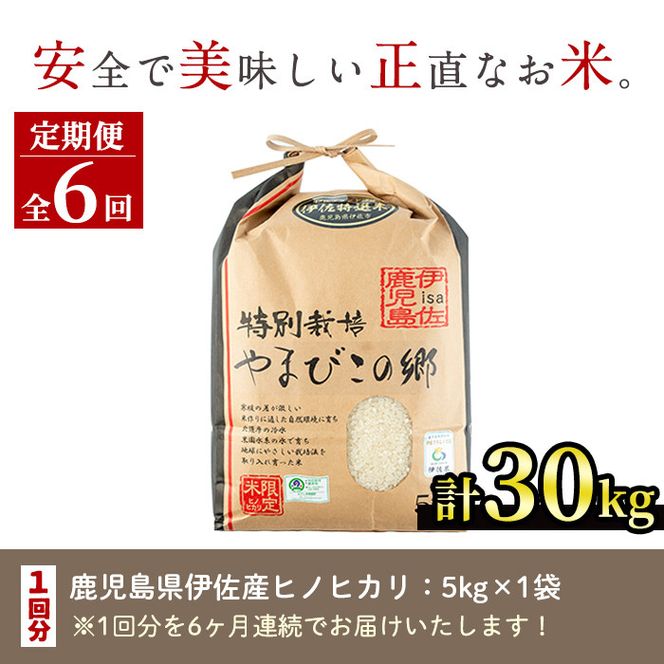 E0-03 【定期便6回】特別栽培ヒノヒカリ(計30kg・毎月5kg×6ヶ月)【やまびこの郷】