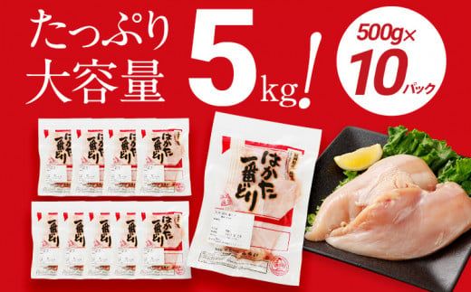 鶏肉 はかた一番どり 胸肉500g×10パック