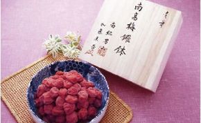 南紀男山焼き鑼鉢入　しそ漬け梅1Kg     T056