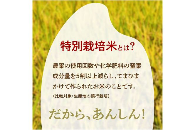 令和7年産 特別栽培米コシヒカリ 丹後椿（京丹後森本産） 5kg【定期便6回】　AG00023