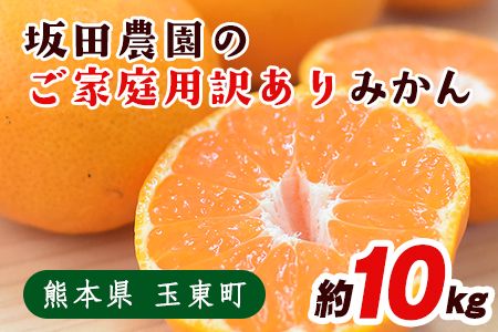 ご家庭用訳あり 熊本県玉東町産限定『坂田農園』のご家庭用みかん 大容量 約10kg(S-3Lサイズ) フルーツ 秋 旬 玉東町70年のベテラン!濃厚な食味とジューシーな果汁 熊本県玉東町[10月上旬-1月末頃出荷]---sg_sktwmk_af101_25_11000_10kg---