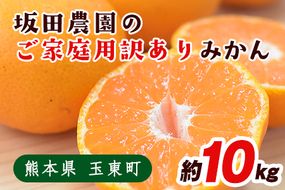 ご家庭用訳あり 熊本県玉東町産限定『坂田農園』のご家庭用みかん 大容量 約10kg(S-3Lサイズ)  フルーツ 秋 旬 玉東町70年のベテラン！濃厚な食味とジューシーな果汁 熊本県玉東町《10月上旬-1月末頃出荷》---sg_sktwmk_af101_25_11000_10kg---