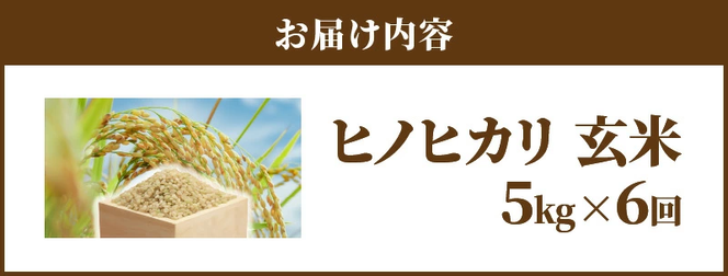新米 令和5年産米 お米 玄米 ヒノヒカリ 5kg×6回 むかばき山 カームファム　N0138-ZC801