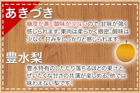 【日付指定不可】『清田果樹園』の原倉梨 約5kg 《9月上旬-10月上旬頃出荷》6-14玉前後 新高梨 新興梨 あきづき 豊水梨 熊本県玉名郡玉東町 梨【ふるさと納税】---sg_ckiyotanashi_ad9_r8_14000_5kg---