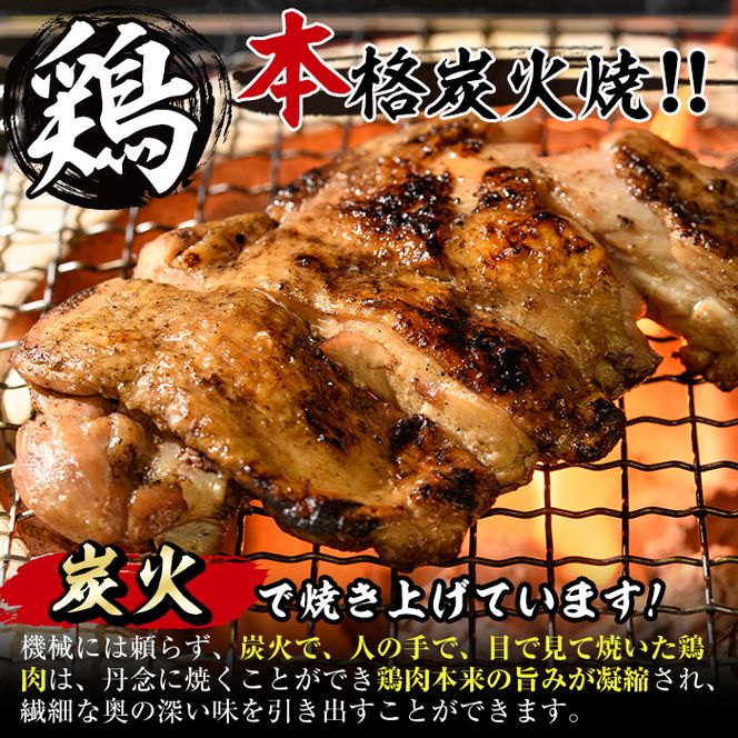 y{茧쒬z󂠂EȈՕYtۂƒYΏĂZbg(8{){  Ƃɂ t ܂  y ٓ BBQ LvyV-29zy{t[Yz