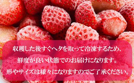 【予約受付中！8月上旬頃発送予定】＜山科農園の冷凍すずあかね　1kg＞甘酸っぱさが魅力の冷凍いちご