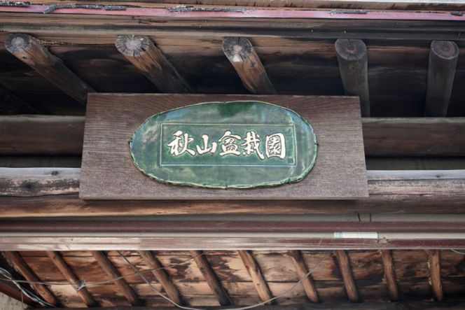 ふるさと納税限定 園主 秋山実と選ぶ 盆栽購入チケット 15,000円分 [秋山園 山梨県 韮崎市 20740910]