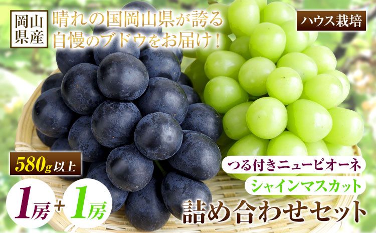 [先行予約] 岡山県産 つる付き!ニューピオーネ 1房 580g & シャインマスカット 1房 580g セット ハウス栽培[配送不可地域あり]ニューピオーネ シャインマスカット[7月上旬-8月末頃に出荷予定(土日祝除く)] 岡山県 矢掛町 晴王 ぶどう 詰め合わせ 果物---osy_chbf35_af7_25_28000_s---