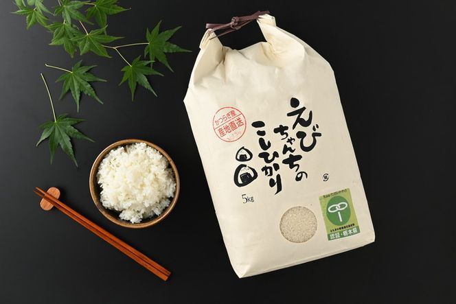 えびちゃんちの米　さくら市葛城産　5Kg  ≪令和6年産 米 お米 白米 ご飯 栃木県産 送料無料≫