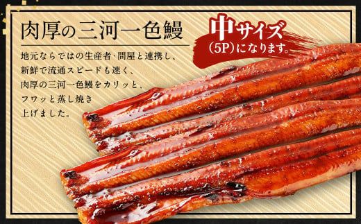 三河一色産 うなぎ蒲焼き 中5尾 うなぎ 蒲焼き タレ付き セット 簡単調理 冷凍