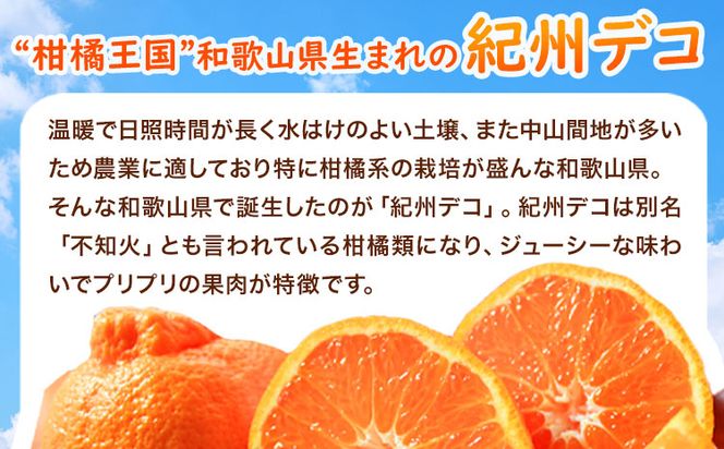 高級ブランド田村の完熟紀州デコ(不知火) 約4.5kg 株式会社 魚鶴商店《2025年2月下旬-3月末頃出荷》和歌山県 日高町 田村地区 不知火 柑橘 果物 フルーツ ブランド果実---wsh_utstkkds_cf2_23_18000_4500g---