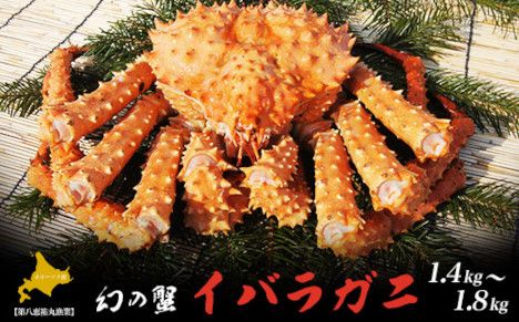 オホーツク産 幻の蟹 イバラガニ 1.4～1.8kg SRMN010