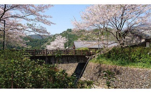 土佐和紙工芸村　くらうど　ペア宿泊券（一泊夕食朝食付）
