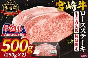 生産者応援 期間限定 数量限定 ＜宮崎牛ロースステーキ 2枚＞2週間以内に発送【  国産 黒毛和牛 牛肉 牛 精肉 ロース ロース肉 ステーキ 4等級以上 ブランド牛 赤身 贈答品 ギフト 贈り物 化粧箱 グルメ ミヤチク 宮崎県 国富町 】【b0739_my】