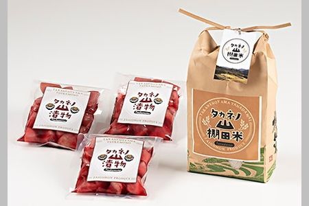 【期間限定・令和7年産米】新潟県岩船産  棚田米コシヒカリ2kg・赤カブ漬け900gセット　A4039