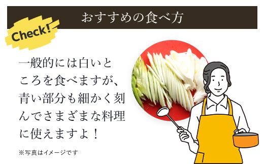 下仁田ネギLサイズ【4㎏】 ANAR012