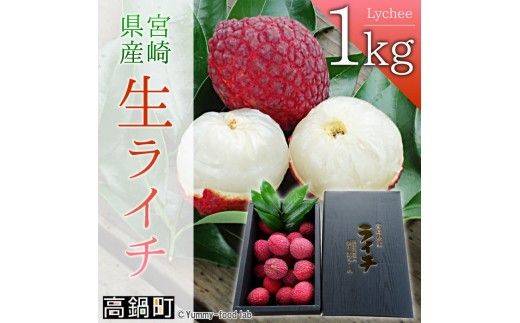 【先行予約】＜宮崎県産ライチ1kg＞2026年7月中に順次出荷【c071_mk_x6】