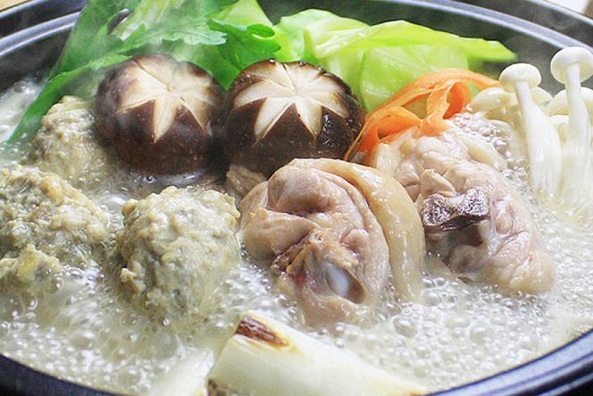 博多の人気鍋2種 セット 九州味噌もつ鍋 2〜3人前 & 博多水炊き(切り身) 2〜3人前 計4～6人前 [ベネフィス 福岡県 筑紫野市 21761413] もつ鍋 モツ鍋 水炊き もつ モツ 味噌 みそ 鶏 鶏肉 とり肉 国産 冷凍