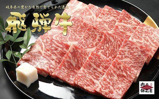 飛騨牛【定期便4回】「飛騨牛食べ比べセット × 4回」冷蔵配送・焼肉・しゃぶしゃぶ・すき焼き 225