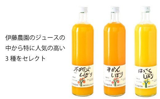 483.伊藤農園 100％ピュアジュース 750ml×3本ギフトセット（A483-2）