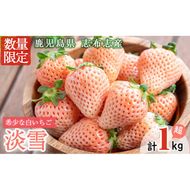 〈先行予約受付中！〉鹿児島県産いちご！特別栽培農産物 いちごの村から朝摘み「淡雪」4Pセット(計1kg・約270g×4P) b5-045