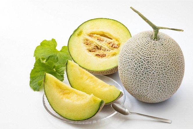 【先行予約】みんな大好き甘～ぃ！京丹後砂丘めろん！ 2玉（2026年7月下旬～発送）　YK00530