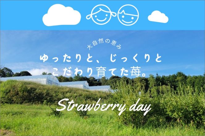【先行予約】2026年産 京都 蜜いちご（あきひめ）（大サイズ（6粒または8粒）×2パック）約450g（2026年1月上旬～発送）　FM00010