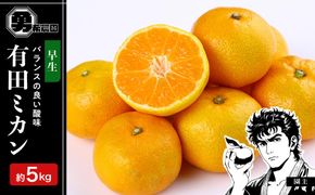 先行予約早生みかん 約5kg サイズ混合 和歌山県 有田みかん  2025年11月中旬頃発送 	EF06