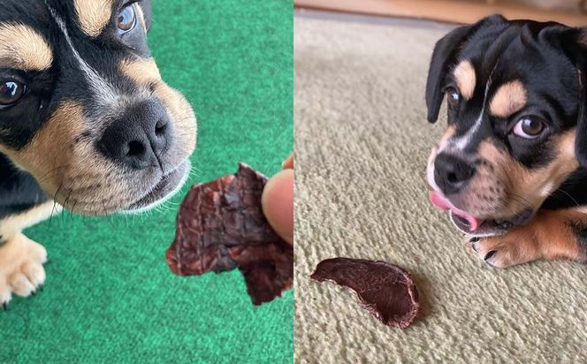 森のジビエ for PET 鹿モモ肉＆肺(ラング)ジャーキーセット【小型・中型犬向け】ペットフード 犬 A-JK-A09A