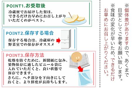 熊本県氷川町産 鋤先梨農園の梨 約3kg 鋤先梨農園 《8月下旬-10月中旬頃出荷》 熊本県 氷川町 あきづき 甘太 新高 新興 旬---sh_cskinasi_h810_26_13000_3kg---