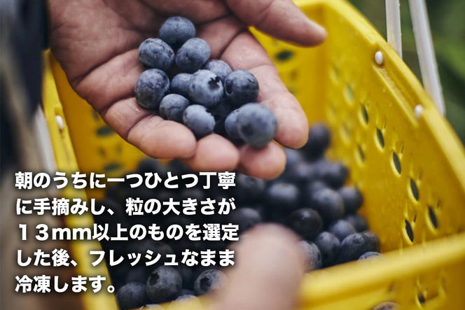 冷凍ブルーベリー 1kg 直径13mm以上