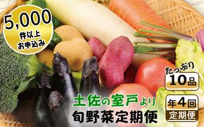 【4回定期便】旬野菜 定期便 1回あたり10品 セット 詰め合わせ 春夏秋冬 野菜 旬 おまかせ 新鮮 やさい レシピ付き 高知県 室戸市 故郷納税 送料無料　rk015