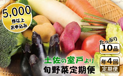 【ふるさと納税】【4回定期便】旬野菜 定期便 1回あたり10品 セット 詰め合わせ 春夏秋冬 野菜 旬 おまかせ 新鮮 やさい レシピ付き 高知県 室戸市 故郷納税 送料無料　rk015