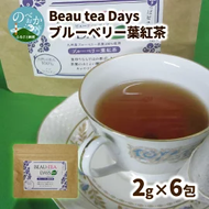 Beau tea Days ブルーベリー葉 紅茶　N048-YZA096