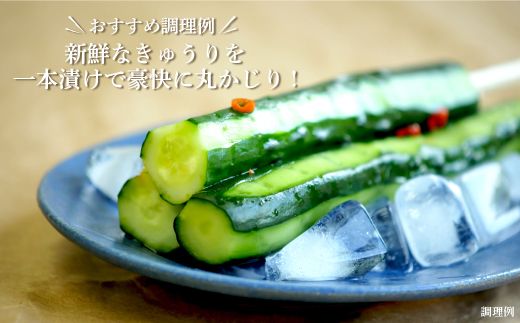《令和8年分》数量限定！季節のお野菜詰め合わせ 夏(配送時期：7月～8月)【01017】