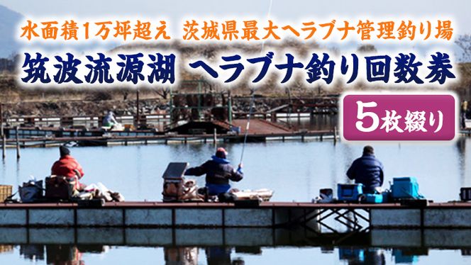 y錧㒬z}g΃wuiނ񐔌iTԂj@[AZ003ya]