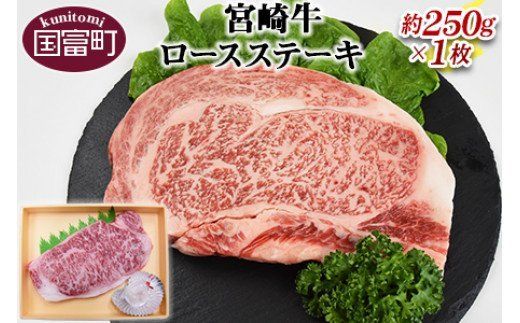 ＜宮崎牛ロースステーキ約250g＞翌月末迄に順次出荷【a0145_sb】