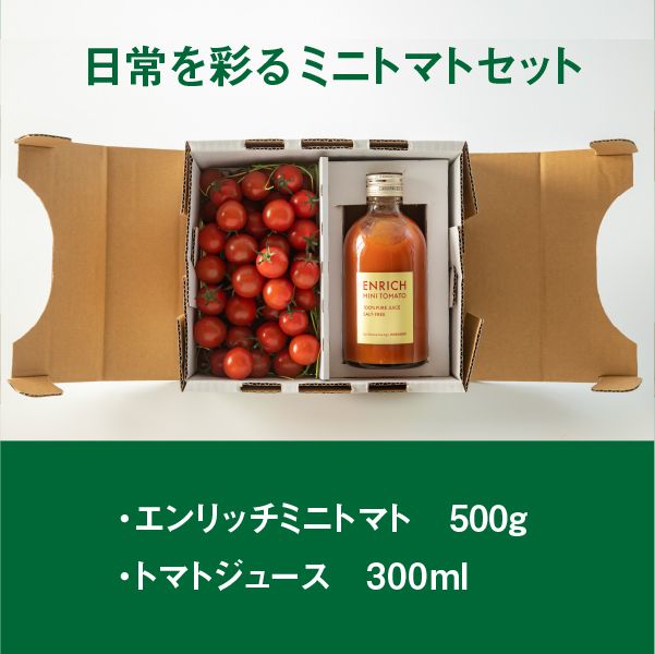 【先行予約】エンリッチミニトマトセット【070001】
