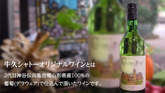 【 牛久市 堪能コース 】 うなぎ プリン付 9000円分 焼肉割烹 ふみや 食事券 × 1枚 体験 利用券 料理 デザート スイーツ 食前酒 食中酒 茨城県 牛久シャトー ワイン 葡萄 デラウェア [DJ020us]