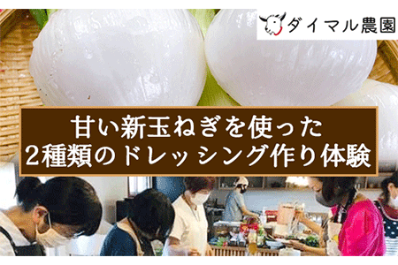 甘い新玉ねぎを使って2種類のドレッシング作り体験 ダイマル農園 体験型返礼品 コト消費 手作り《30日以内に順次出荷(土日祝除く)》 和歌山県 紀の川市---iwsk_dmtdr_30d_22_13000_1d---