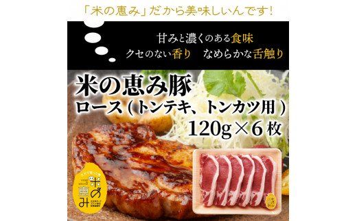 おおいた和牛と米の恵み豚のステーキ対決/計1.12kg_1217R