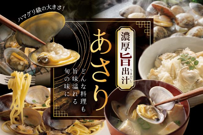 北海道 道東産 アサリ中 3kg (冷凍) 約 300g ×10 袋（ 小分け 便利 あさり 貝 かい カイ 浅利 アサリ 国産 冷凍 浅蜊 ）