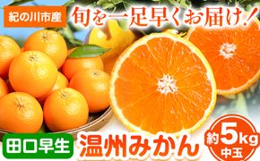 【先行予約】早生みかん(田口早生) 約5kg《11月中旬～12月末頃より順次出荷(土日祝除く)》ｍ＆ｎ果実園 和歌山県 紀の川市 送料無料 蜜柑 柑橘 果物 フルーツ 温州みかん 早生みかん 田口早生--wsk_mnk11_bc11_23_11000_5kg---