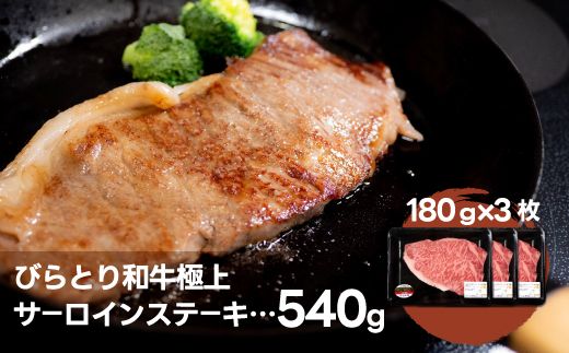 びらとり和牛極上サーロインステーキ約180ｇ×3枚 ふるさと納税 人気 おすすめ ランキング びらとり和牛 黒毛和牛 和牛 肉 サーロイン ステーキ 北海道 平取町 送料無料 BRTH028