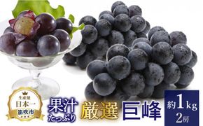 【2026年発送★先行予約】厳選!! 池田青果の巨峰　1.0kg　2房 173-003-26y