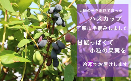 ＜山科農園　冷凍ハスカップ（400ｇ×2）＞手作業で収穫　摘み立てハスカップ