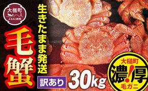 【令和7年発送先行予約】【訳あり】三陸産活毛ガニ 30kg【2025年2月〜4月発送】【配送日指定不可】【0tsuchi01010-24-3】【08】