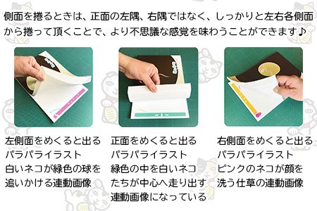 ＜カラクリの音(ノート3種)＞翌月末迄に順次出荷【c606_km_x3】