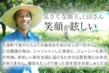 『上田農園』の玉東梨　予約受付中　たっぷり約5kg  6-16玉前後《8月中旬-10月上旬頃出荷》 熊本県 玉名郡 玉東町 梨 ナシ フルーツ 果物 送料無料 ギフト 贈答 5kg---sg_cuedanashi_g810_25_13500_5kg---