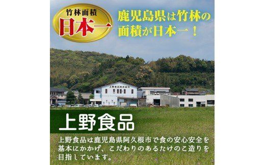 ＜先行予約受付中！2025年3月上旬以降順次発送予定＞お刺身たけのこ(計1kg) 国産 鹿児島県産 朝採れ タケノコ 竹の子 筍 真空パック 野菜 春 旬【上野食品】a-12-124-z